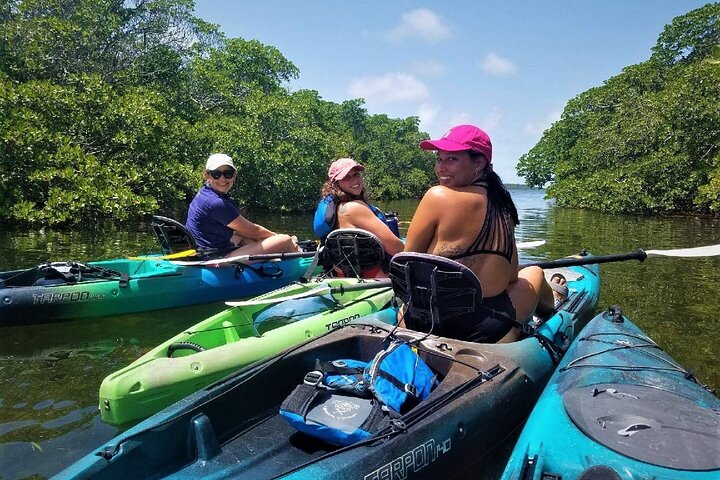 Mangrove Tunnel Kayak Adventure in Key Largo photo 3