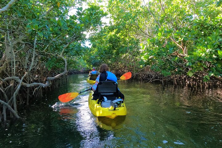 Mangrove Tunnel Kayak Adventure in Key Largo photo 4