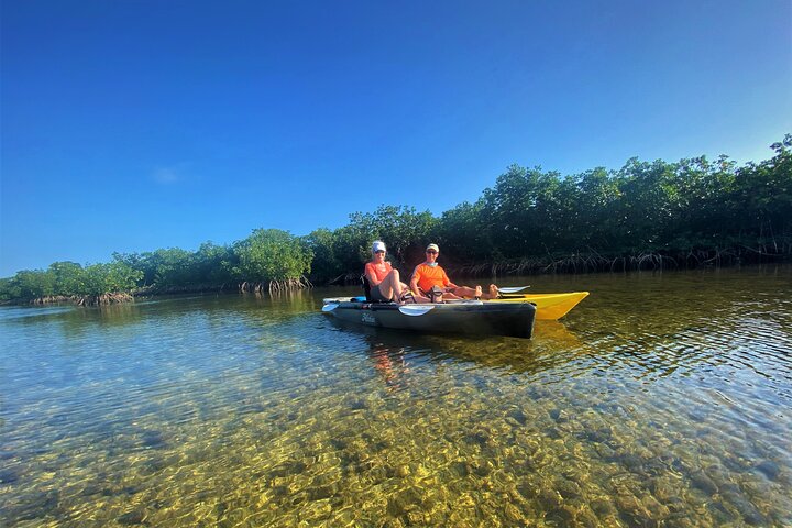 Mangrove Tunnel Kayak Adventure in Key Largo