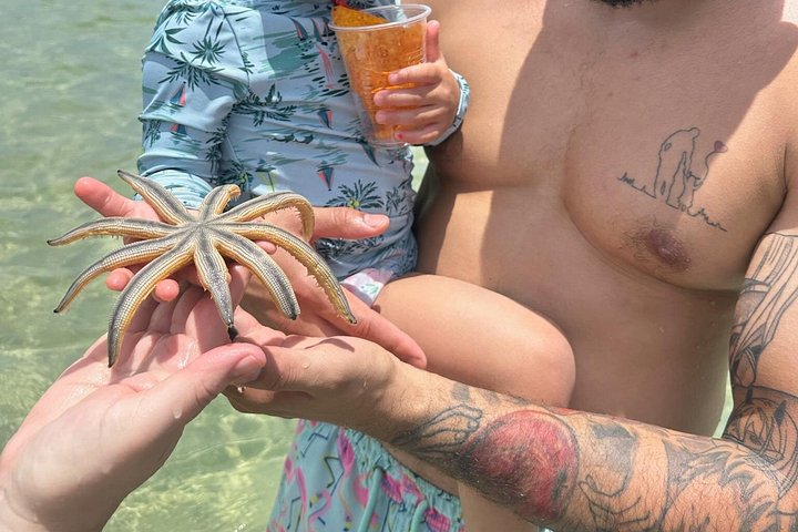 Miami Boat Tour to Raccoon Island and Sandbar (Private 2 or 4 Hr) photo 4