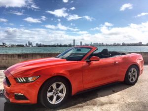 Miami Convertibles Image