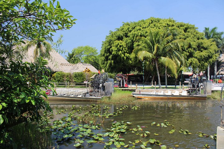 Miami + Everglades in One Perfect Day–small group & pick up photo 4