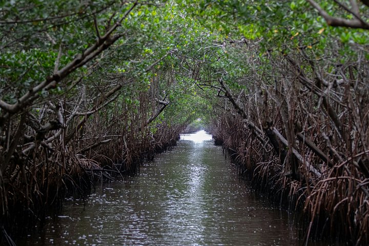 Miami Everglades National Park Half Day Small Group Tour photo 4