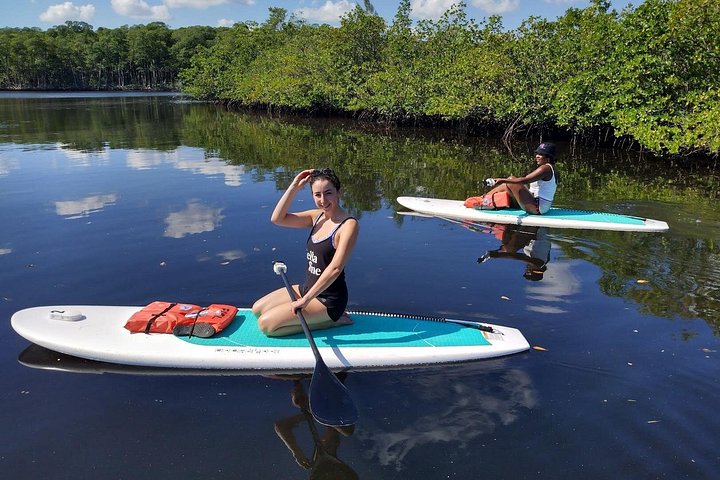 Miami Kayak and Paddleboard Rentals in Virginia Key photo 2