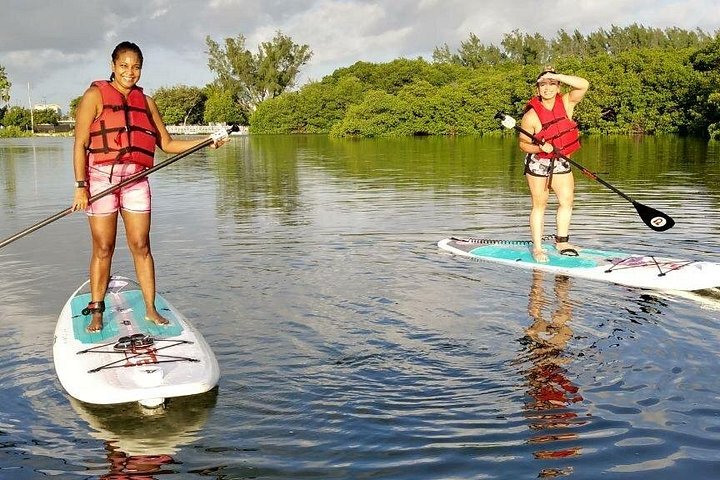 Miami Kayak and Paddleboard Rentals in Virginia Key photo 4