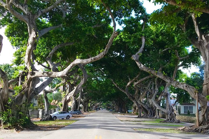Miami Private City Tour Off The Beaten Path photo 3