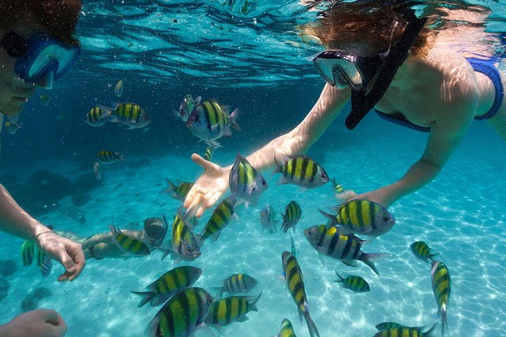 Miami to Key West Day Trip with Activity Options photo 3