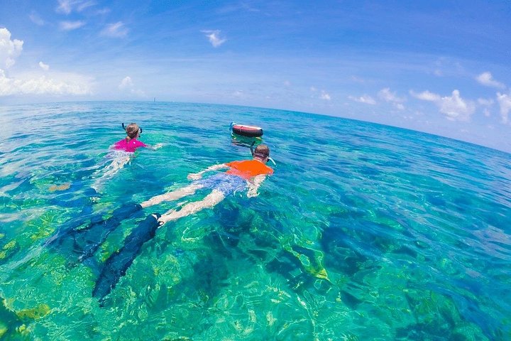 Miami to Key West Day Trip with Activity Options photo 4