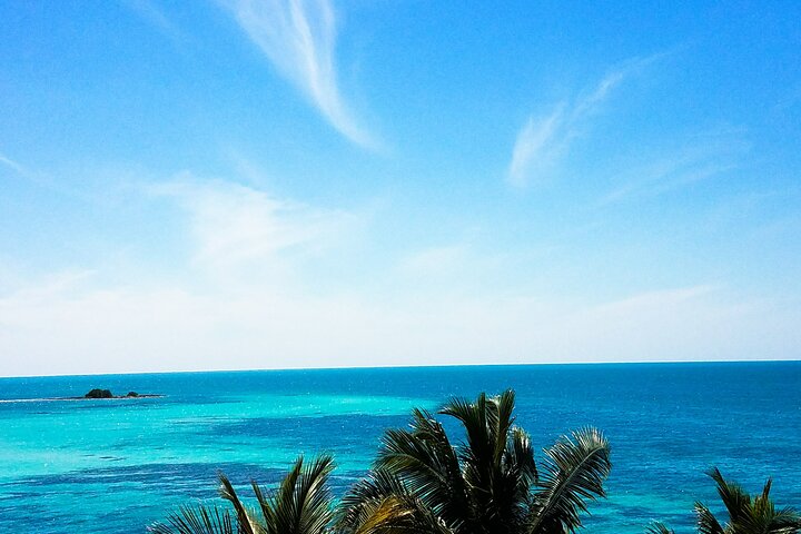 Private Full-Day Tour of Florida Keys from Miami/FLL to Key West photo 2