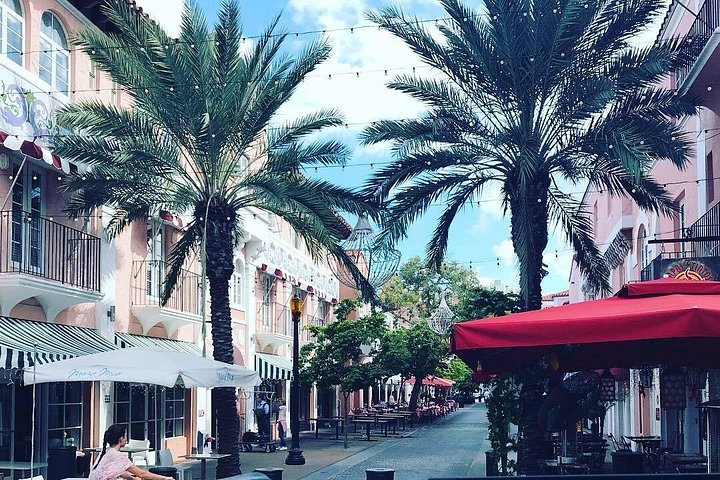 Private Miami City Sightseeing Tour photo 3