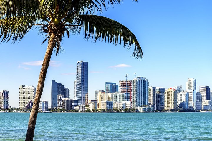 Private Miami City Tour + Biscayne Bay Cruise