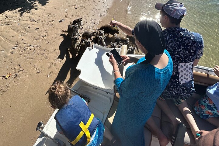 Raccoon Island Boat Tour - Indian Creek, Sanbar and Raccoons photo 4