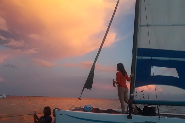 Sail Biscayne Bay: An Intimate Eco-Adventure with Snorkeling photo 4