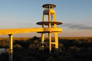 Shark Valley Tram Tours Image