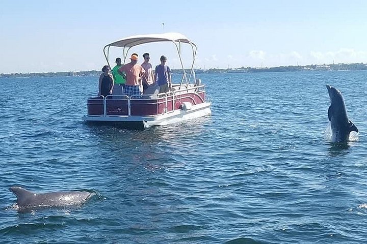 Small Group Florida Keys Eco Tour by Boat photo 3