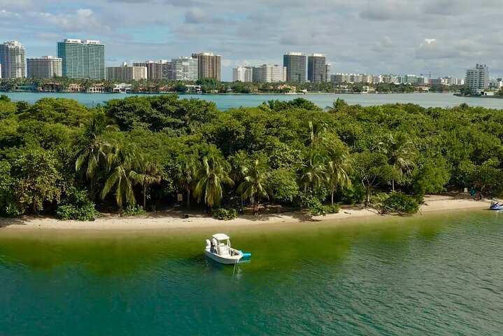 The Ultimate 4-Hour Miami Charter: Exclusive Views & Tropical Fun photo 3
