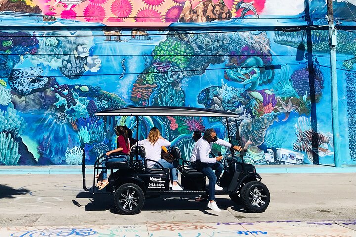 Wynwood Graffiti Golf Cart Small-Group Tour photo 3