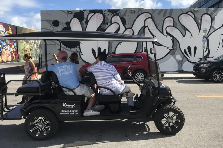 Wynwood Graffiti Golf Cart Small-Group Tour photo 4