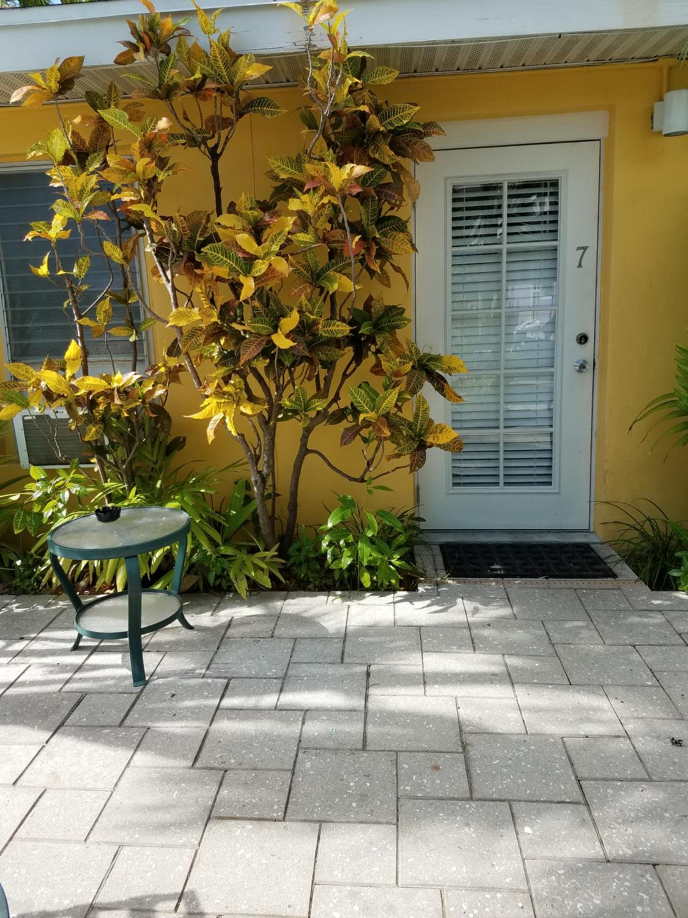 Alexander Palms Court - No Hidden Resort Fees! photo 2