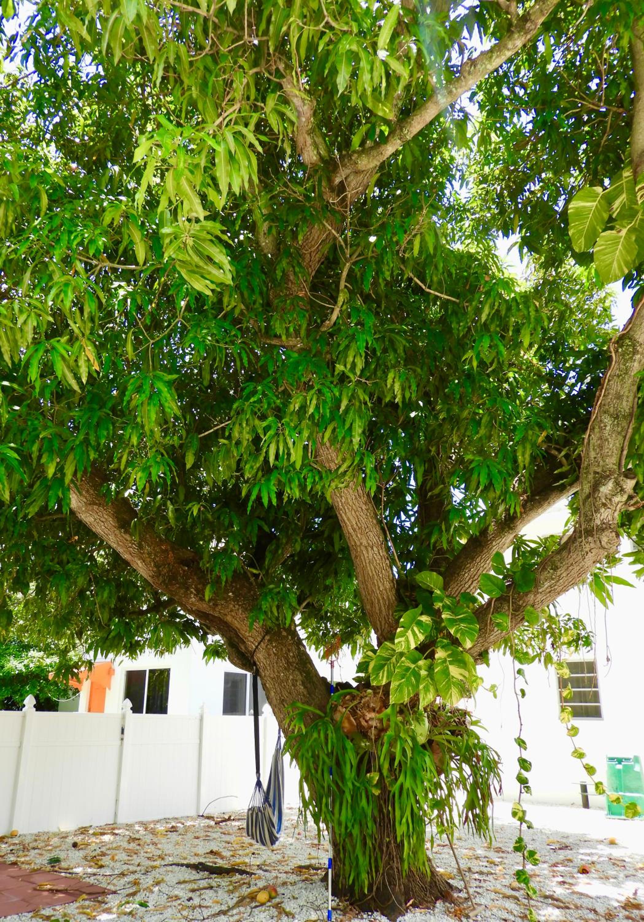 Beautiful Casita with King Bed and private patio Close to Calle 8, MIA Airport, Coral Gables photo 2
