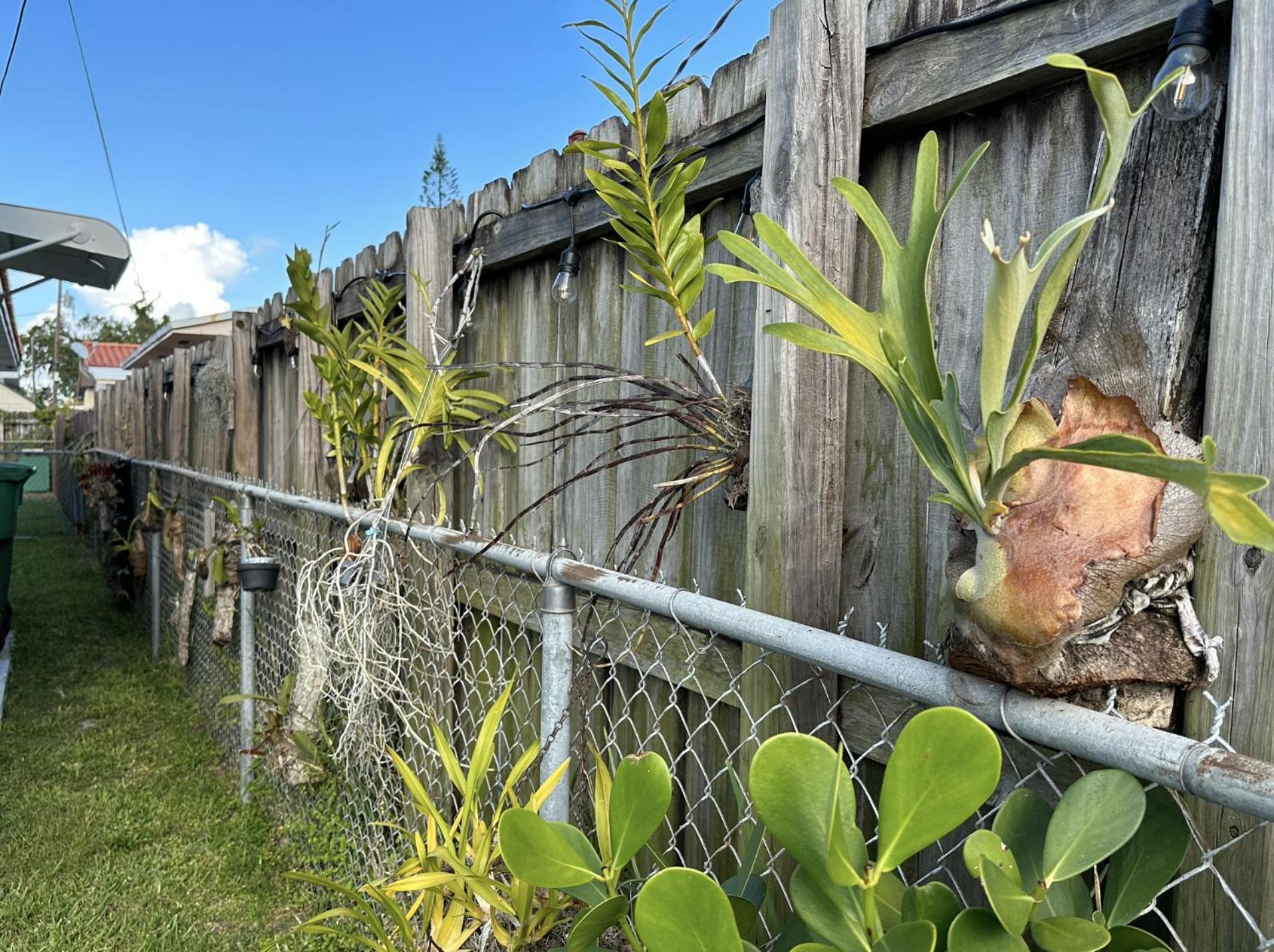 Miami's Cozy Tropical Getaway photo 4