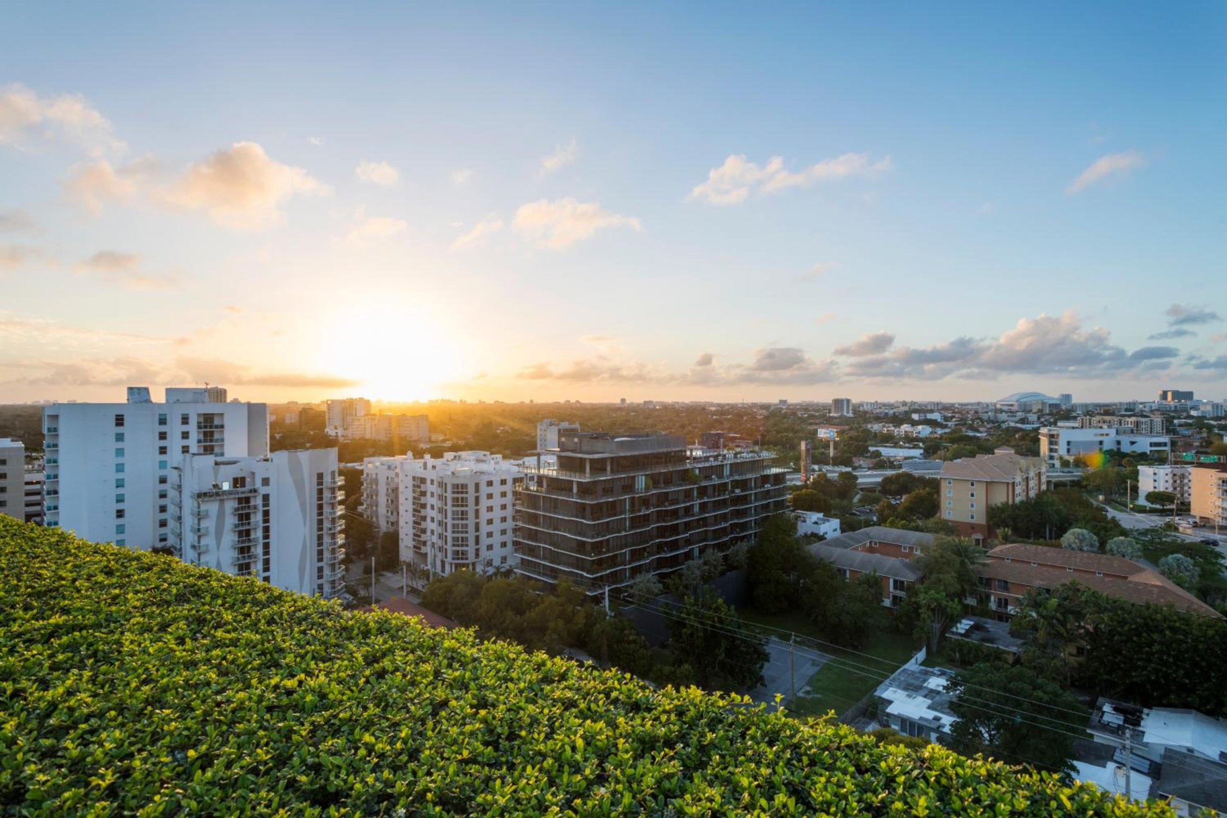 Novotel Miami Brickell photo 4