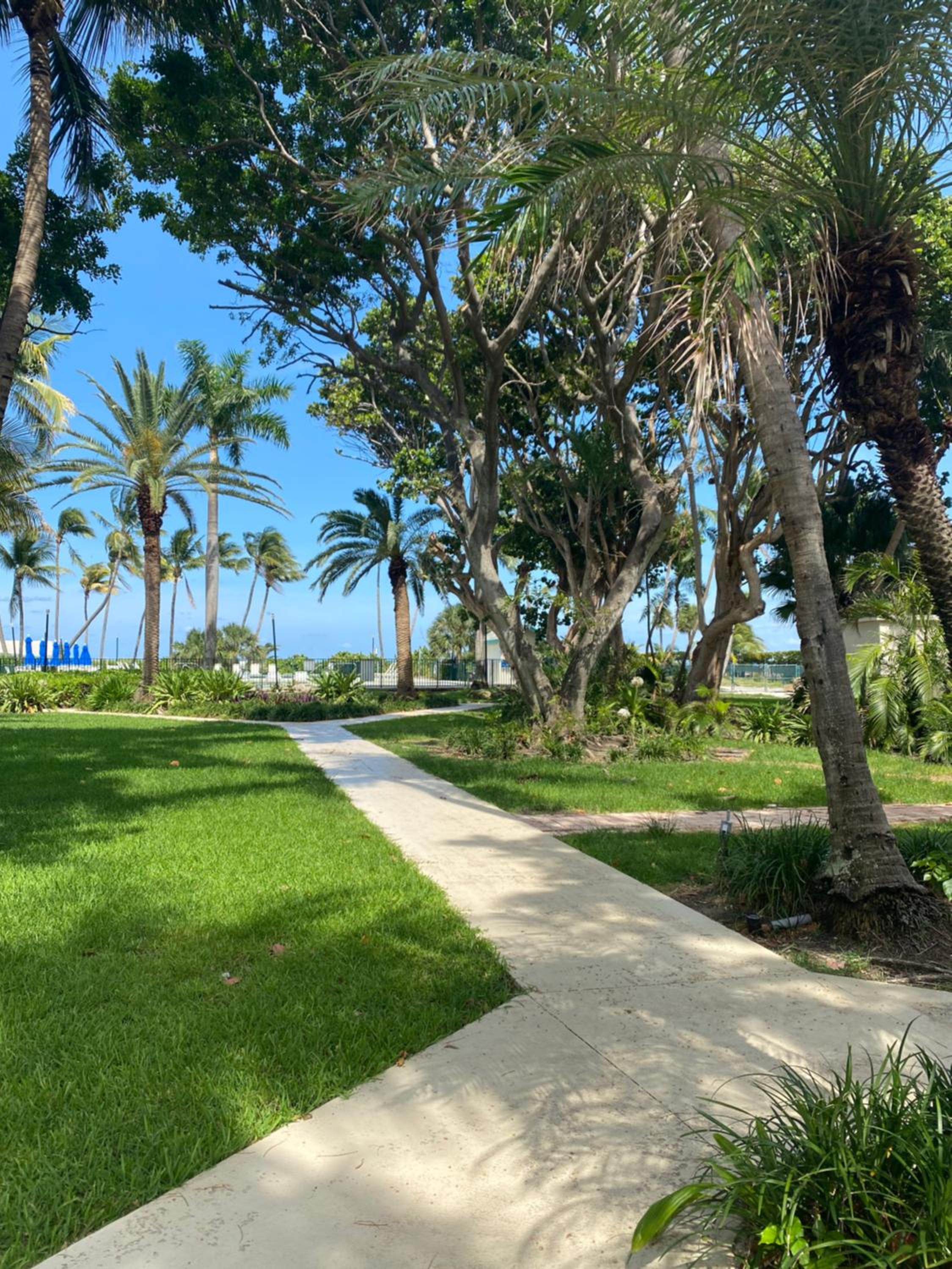 Silver Sands Beach Resort photo 3