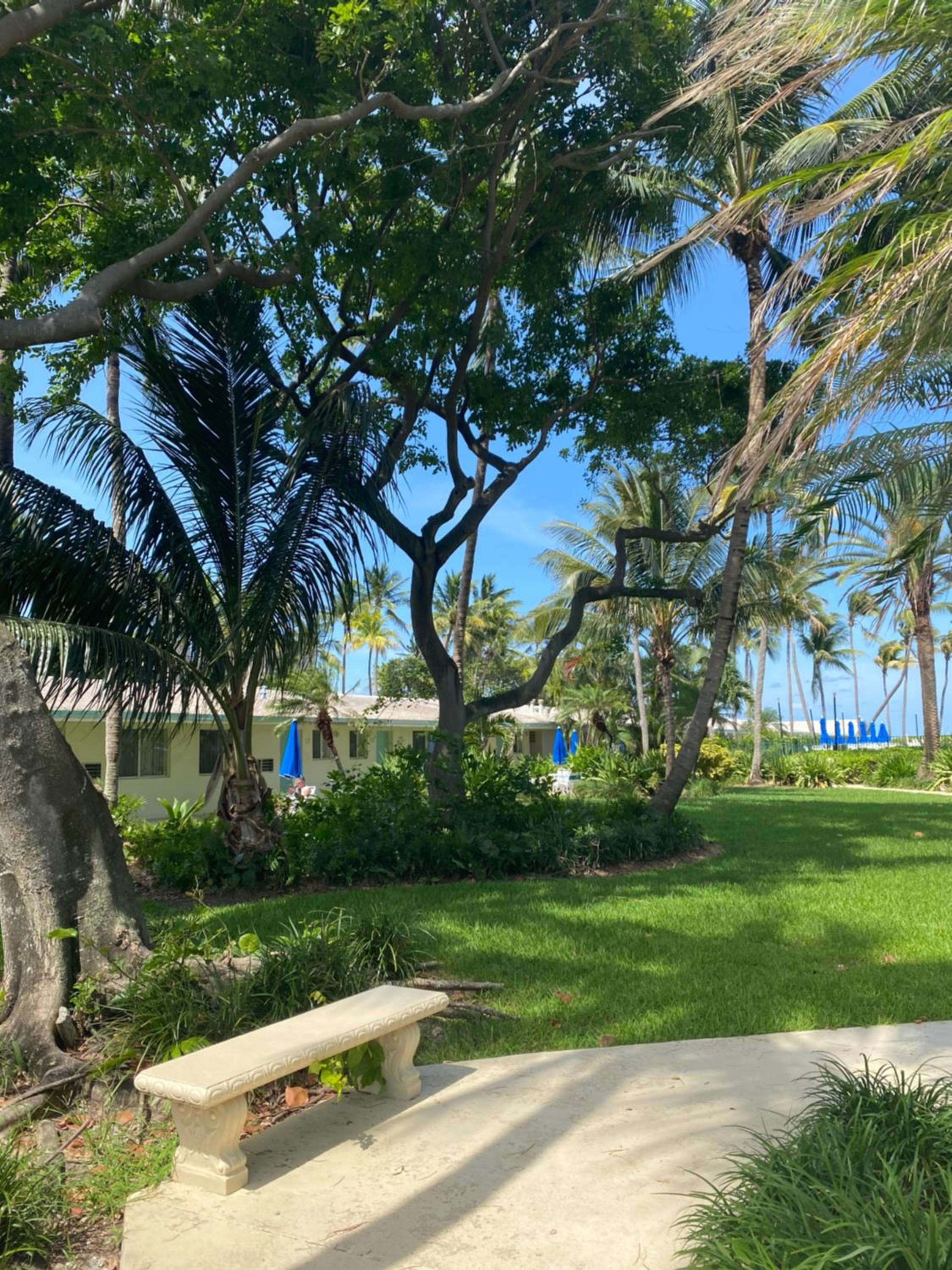 Silver Sands Beach Resort photo 4
