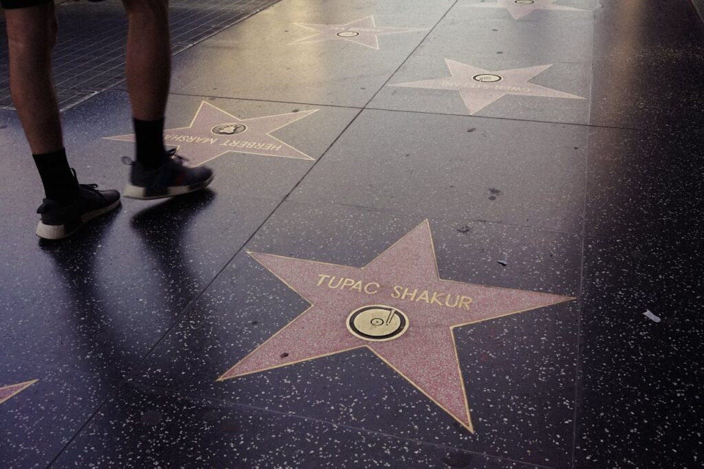 Bronze stars honoring Cuban and Latin American icons on the Walk of Fame, Calle Ocho