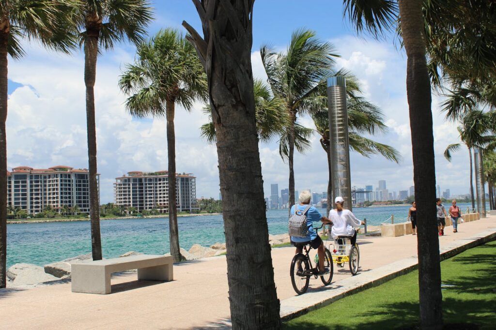 Cyclists using bike lanes on a tree-lined street in Coconut Grove